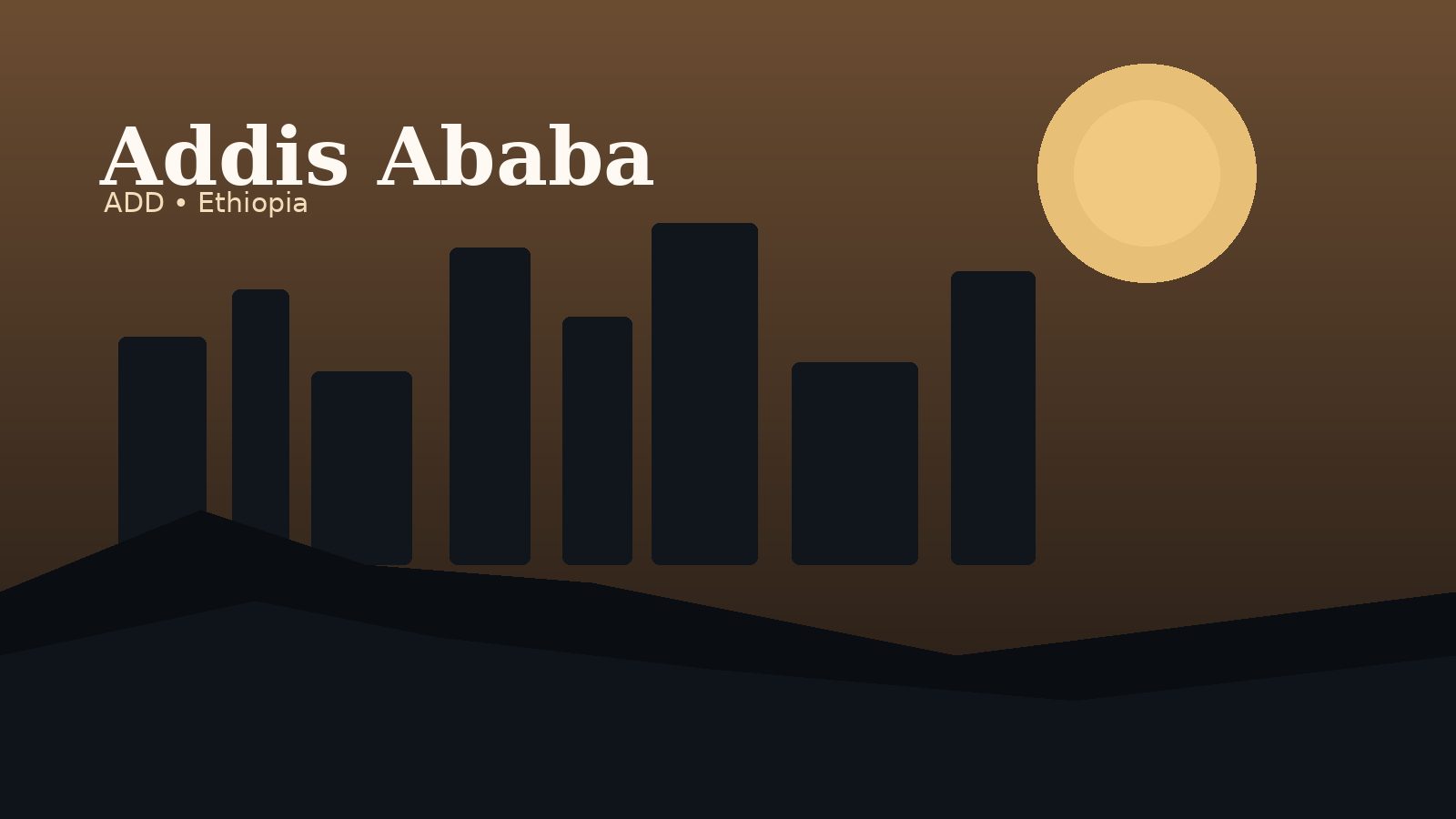 Addis Ababa Bole International Airport Airport Guide