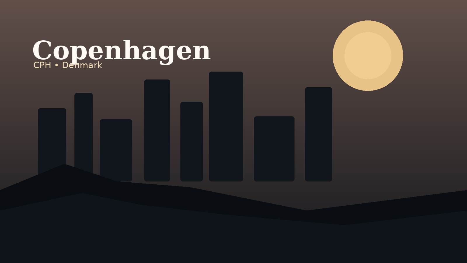 Copenhagen Airport Airport Guide
