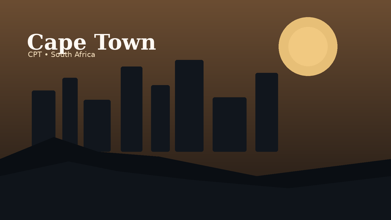 Cape Town International Airport Airport Guide