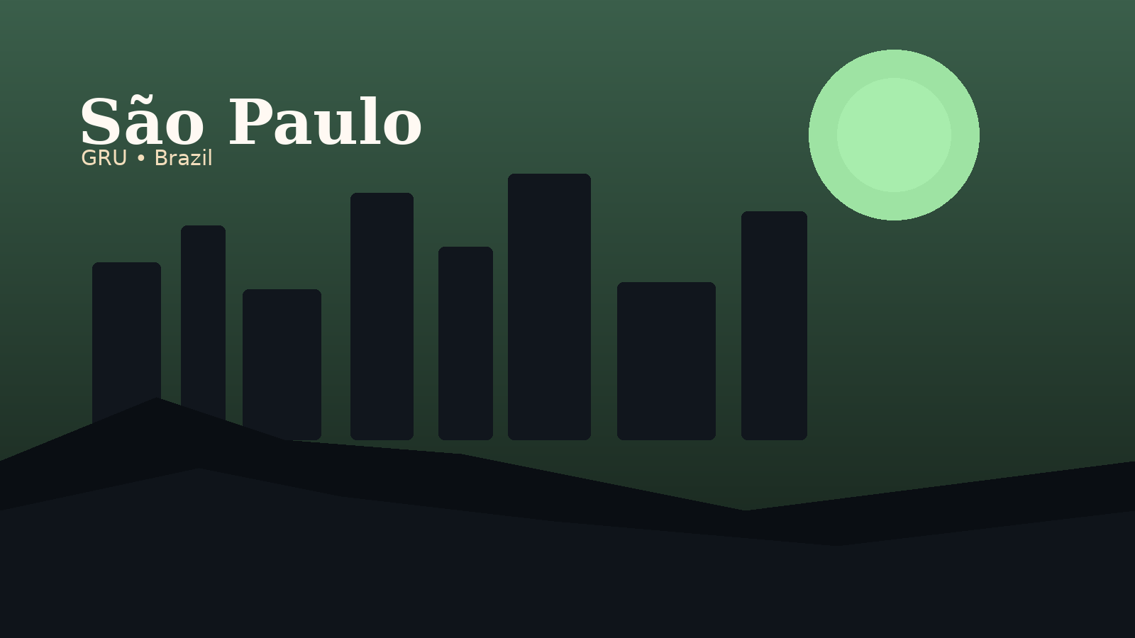 São Paulo/Guarulhos International Airport Airport Guide