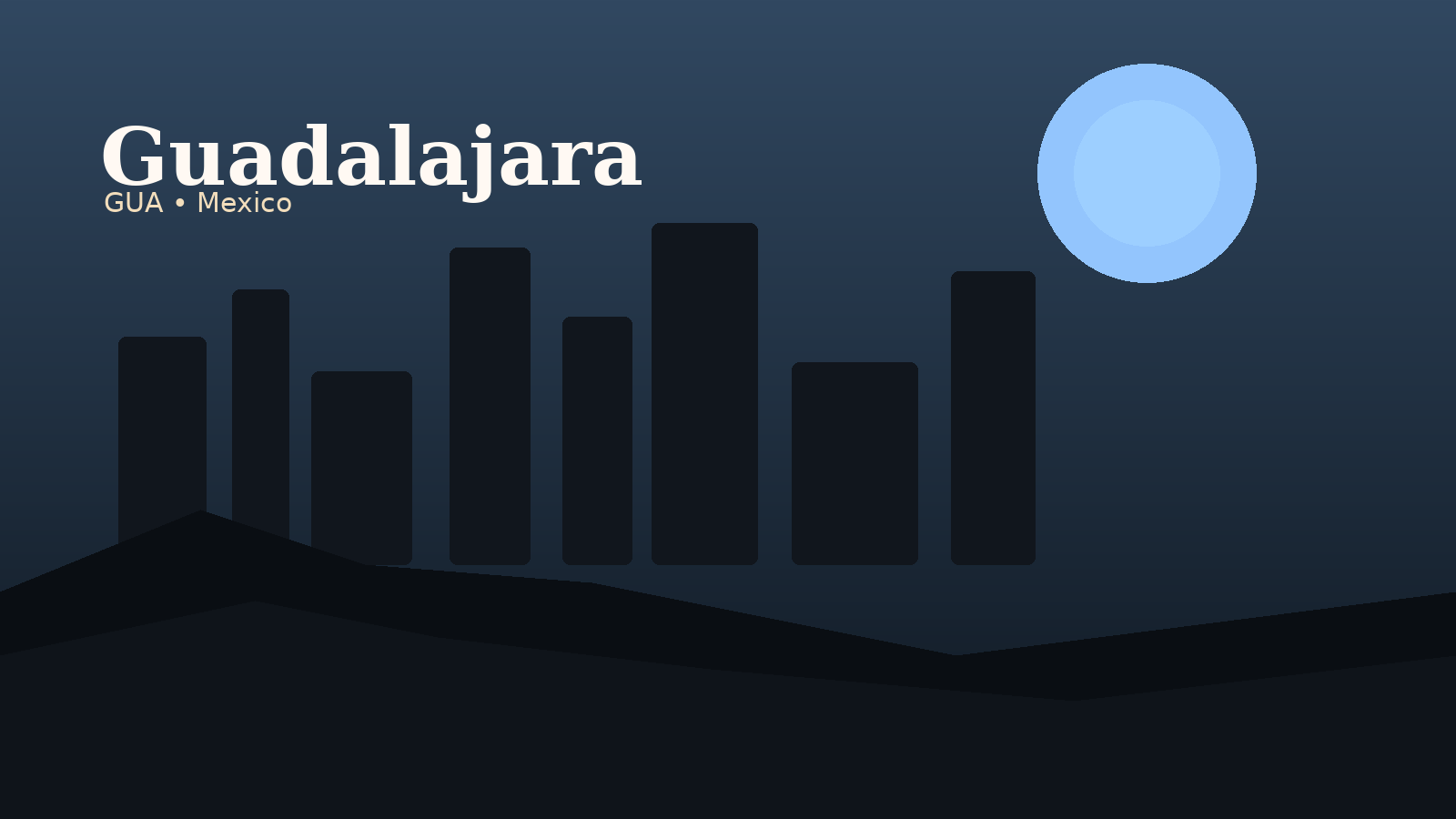 Guadalajara International Airport Airport Guide