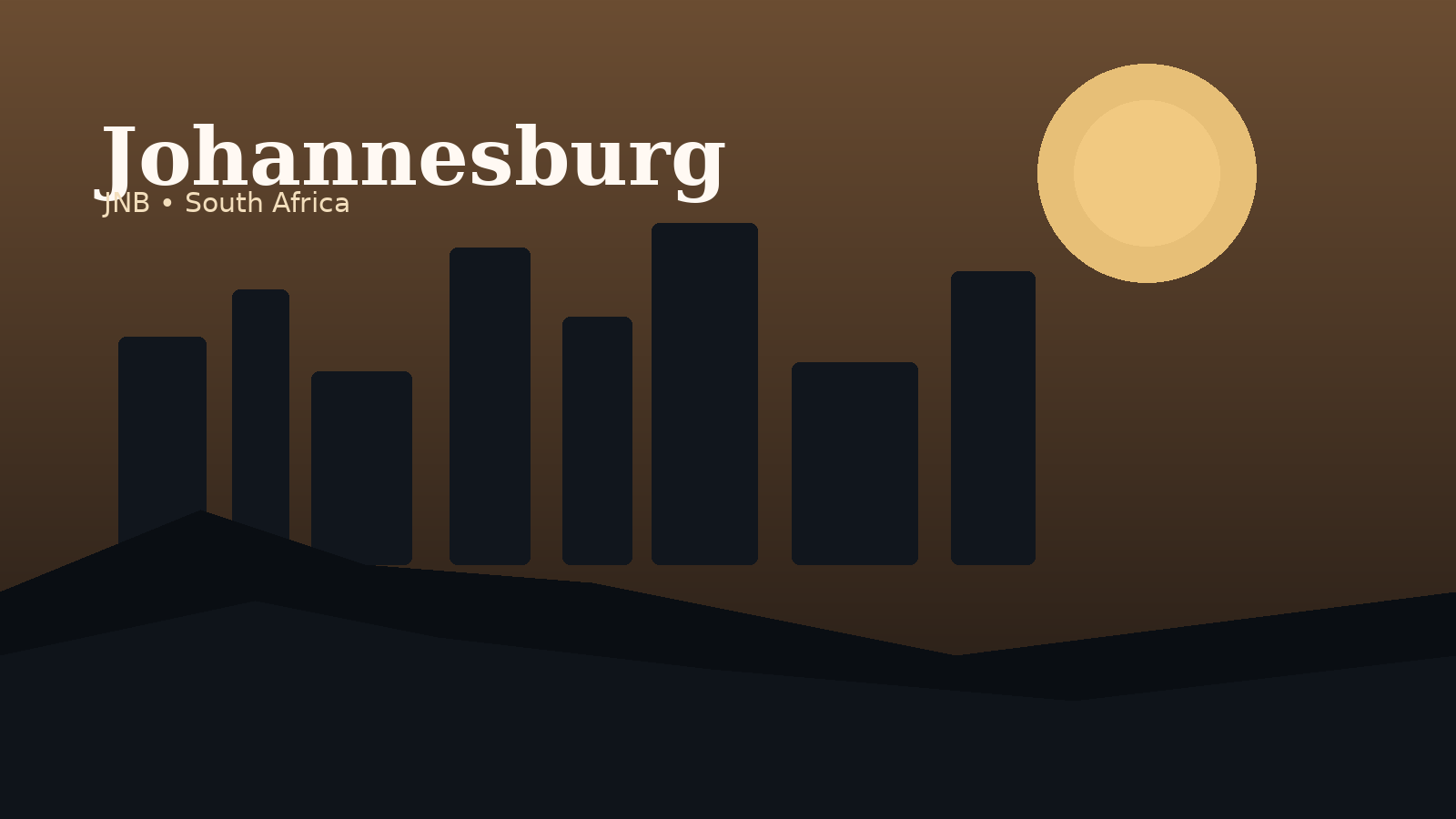 O. R. Tambo International Airport Airport Guide