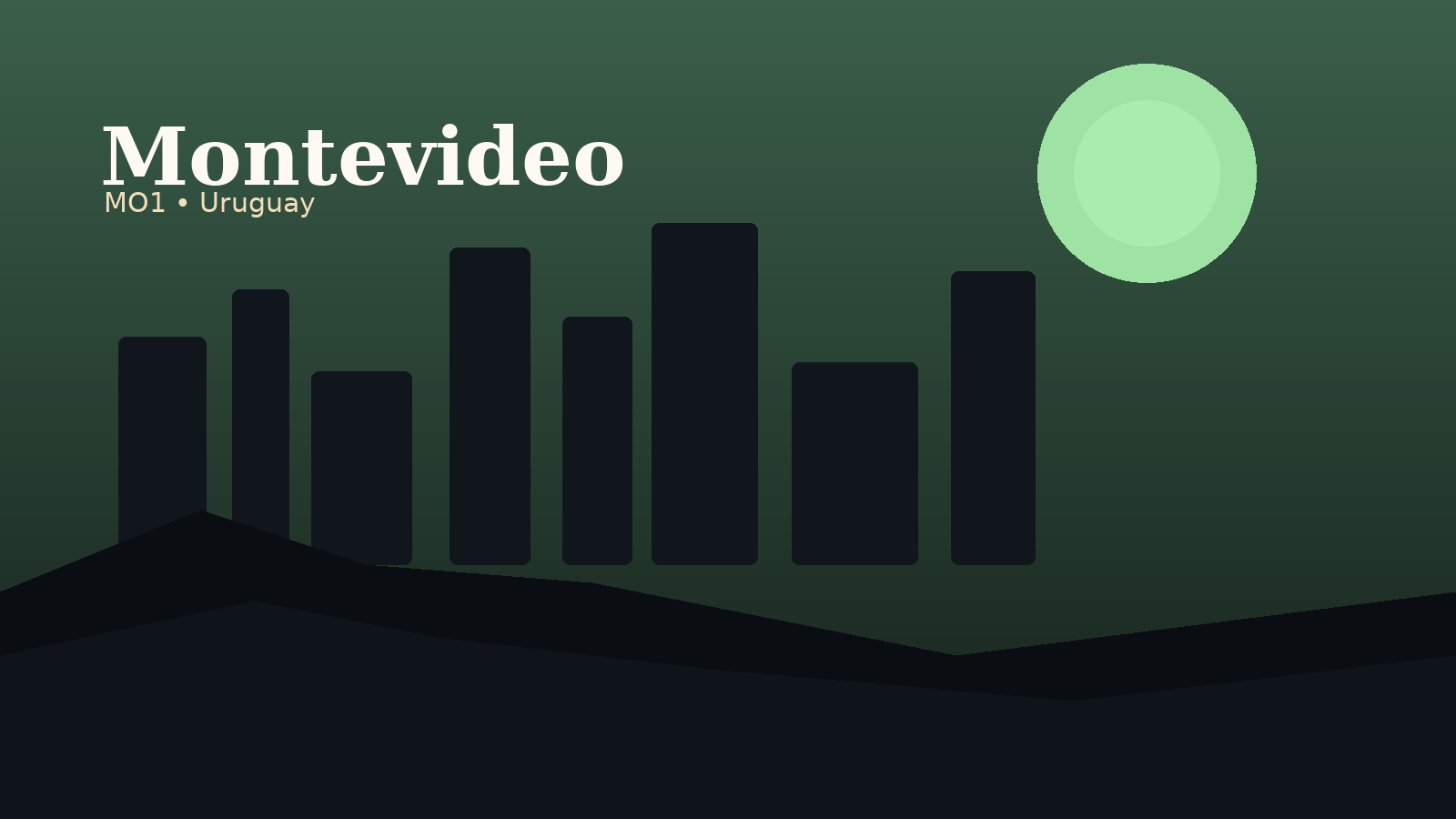 Montevideo International Airport Airport Guide