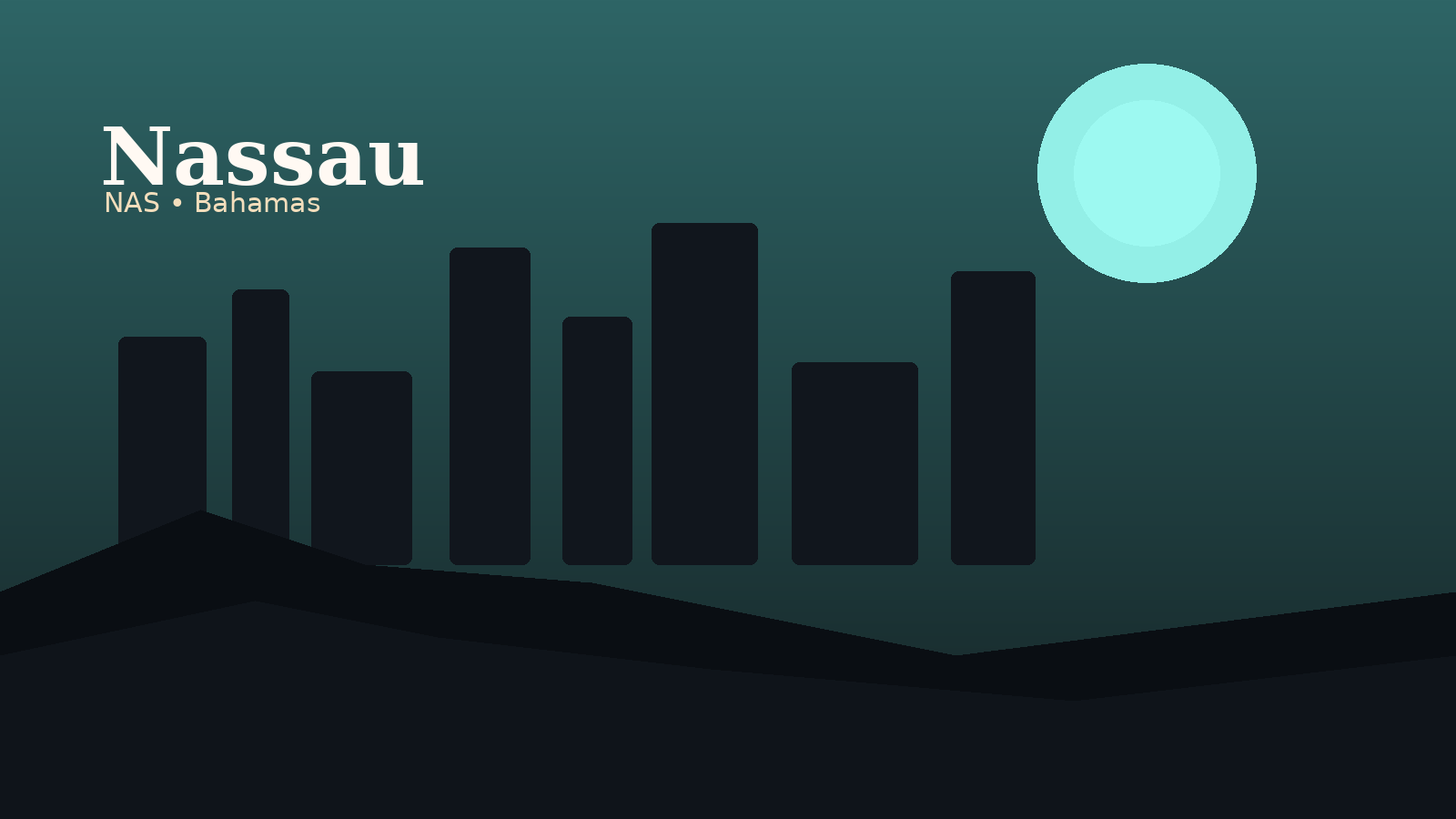 Nassau International Airport Airport Guide