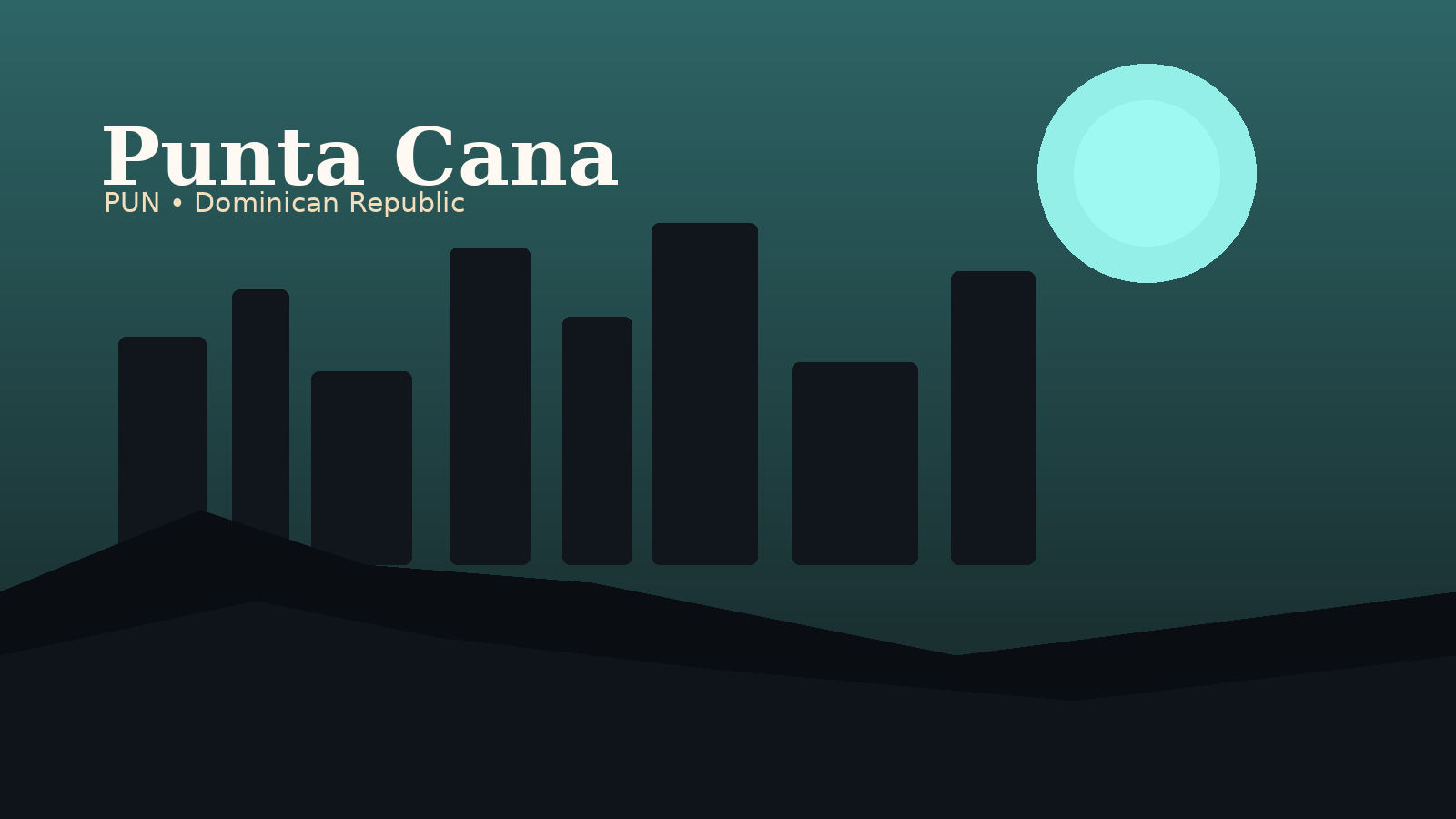 Punta Cana International Airport Airport Guide