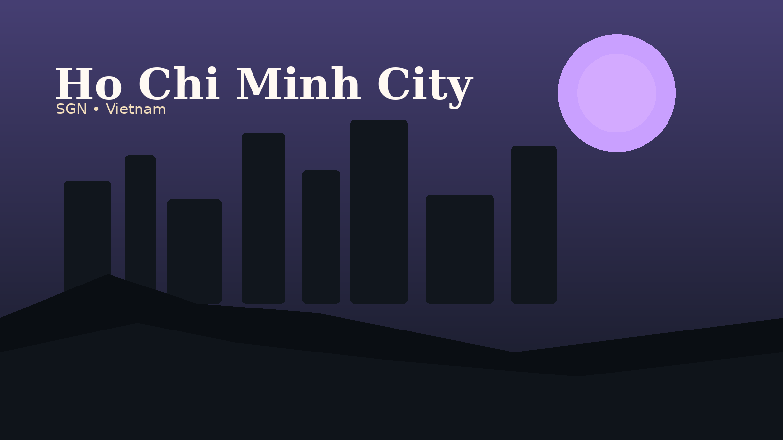 Tan Son Nhat International Airport Airport Guide