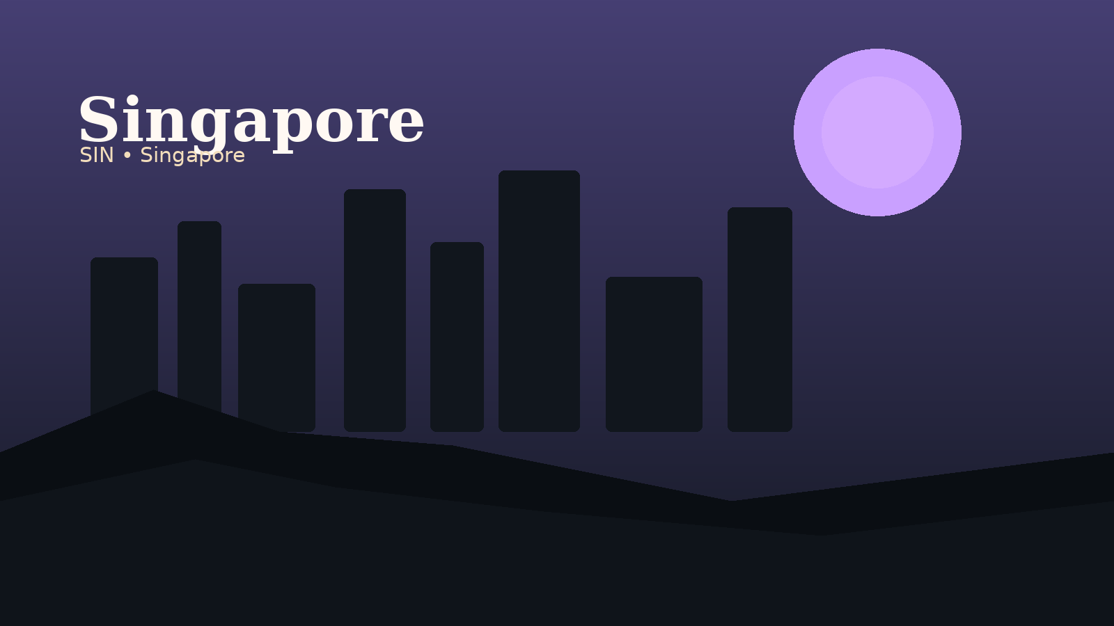 Singapore Changi Airport Airport Guide