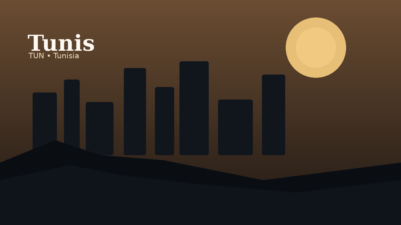 Tunis International Airport Airport Guide